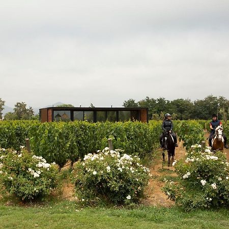 Vibo Wine Lodge At Viu Manent Санта-Крус Экстерьер фото