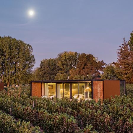 Vibo Wine Lodge At Viu Manent Санта-Крус Экстерьер фото