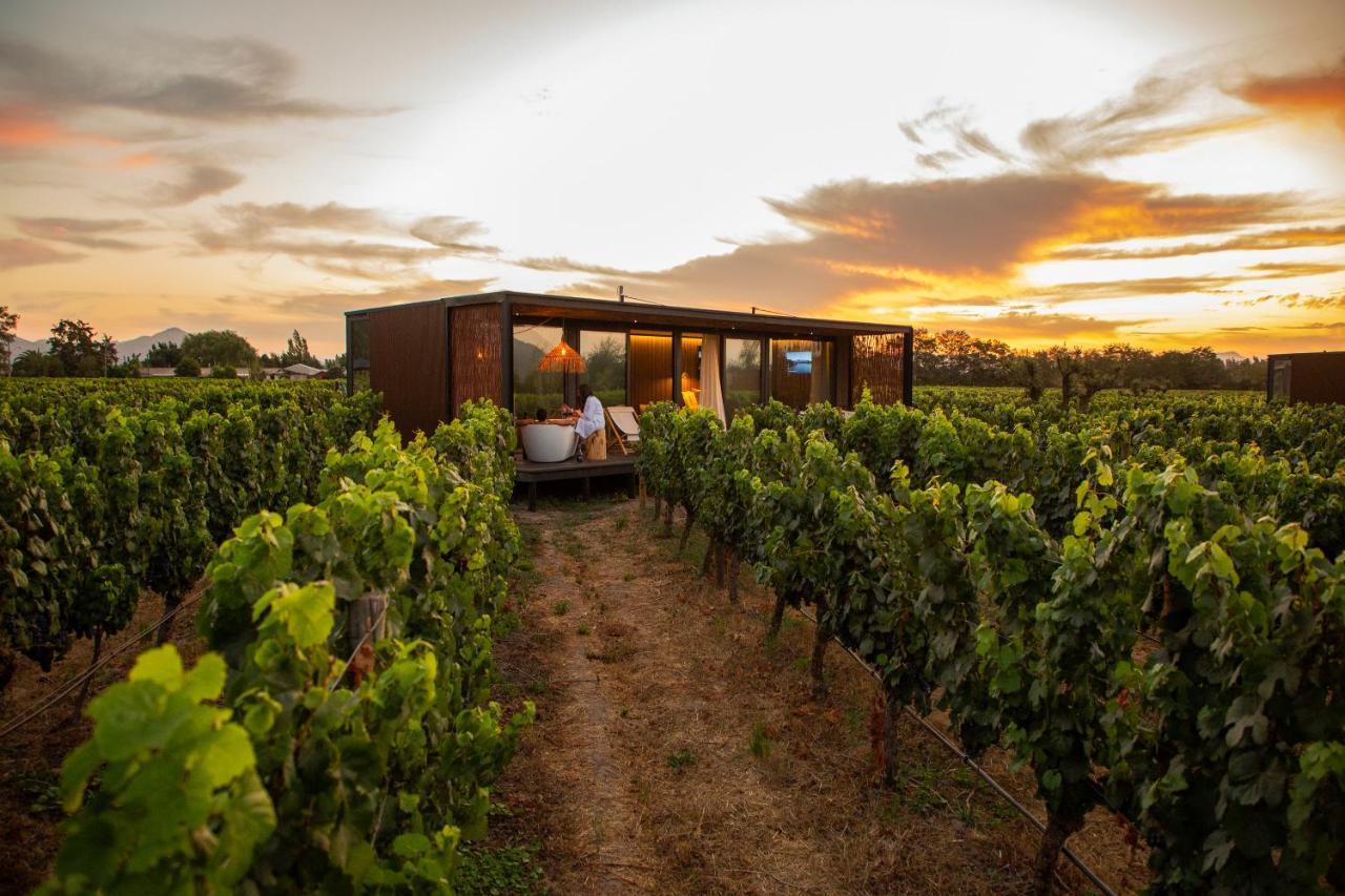 Vibo Wine Lodge At Viu Manent Санта-Крус Экстерьер фото