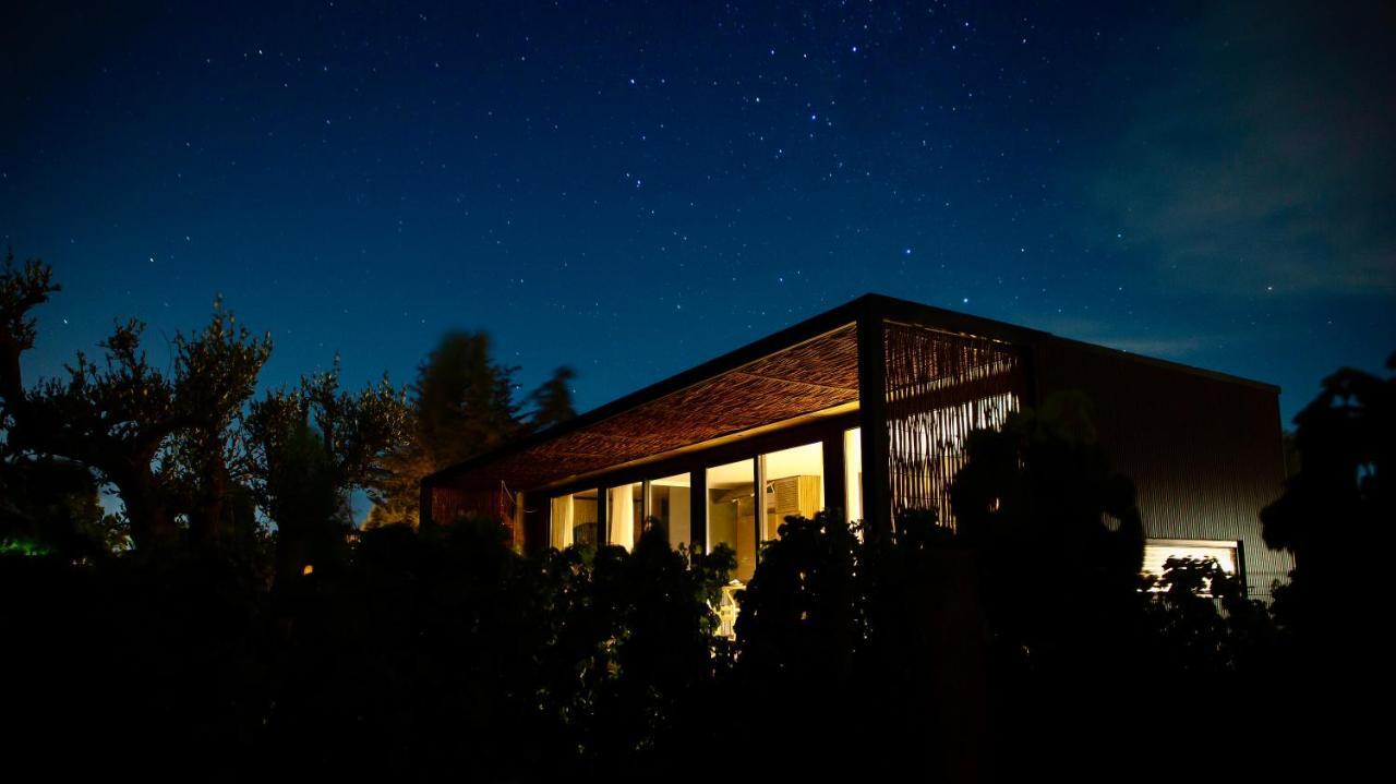 Vibo Wine Lodge At Viu Manent Санта-Крус Экстерьер фото