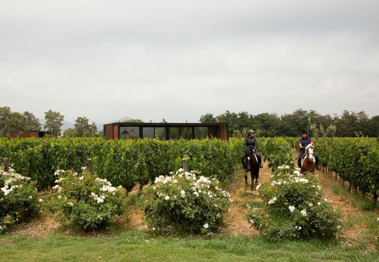 Vibo Wine Lodge At Viu Manent Санта-Крус Экстерьер фото
