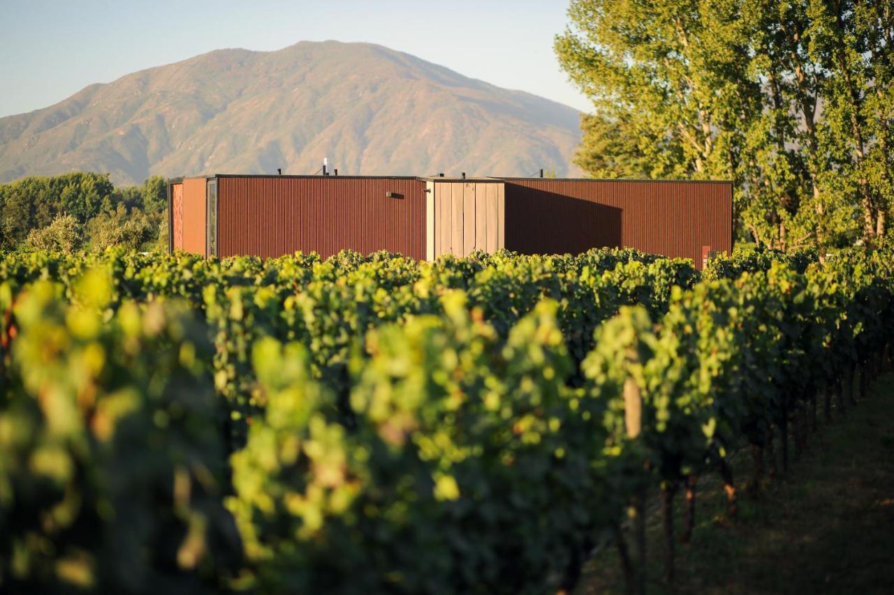 Vibo Wine Lodge At Viu Manent Санта-Крус Экстерьер фото