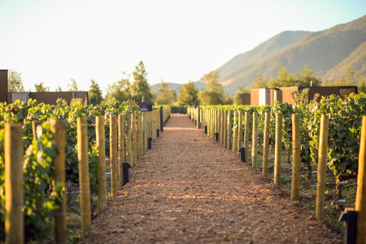 Vibo Wine Lodge At Viu Manent Санта-Крус Экстерьер фото
