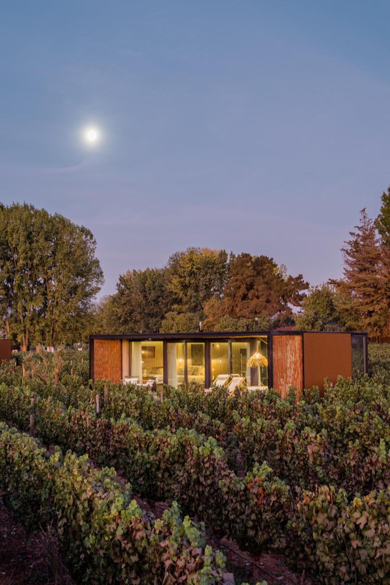 Vibo Wine Lodge At Viu Manent Санта-Крус Экстерьер фото